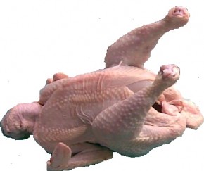 Žabčický kohout -AKCE