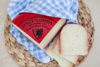 Gouda ovčí