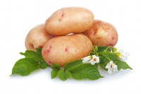 BIO Brambory 1000g